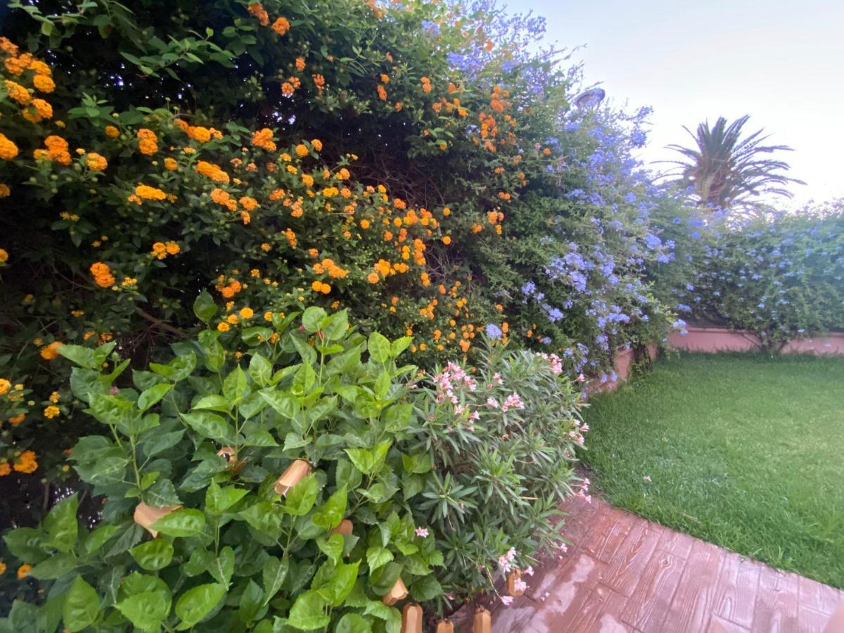 Apartamento Jardin Sanlucar Sanlucar de Barrameda Exterior photo